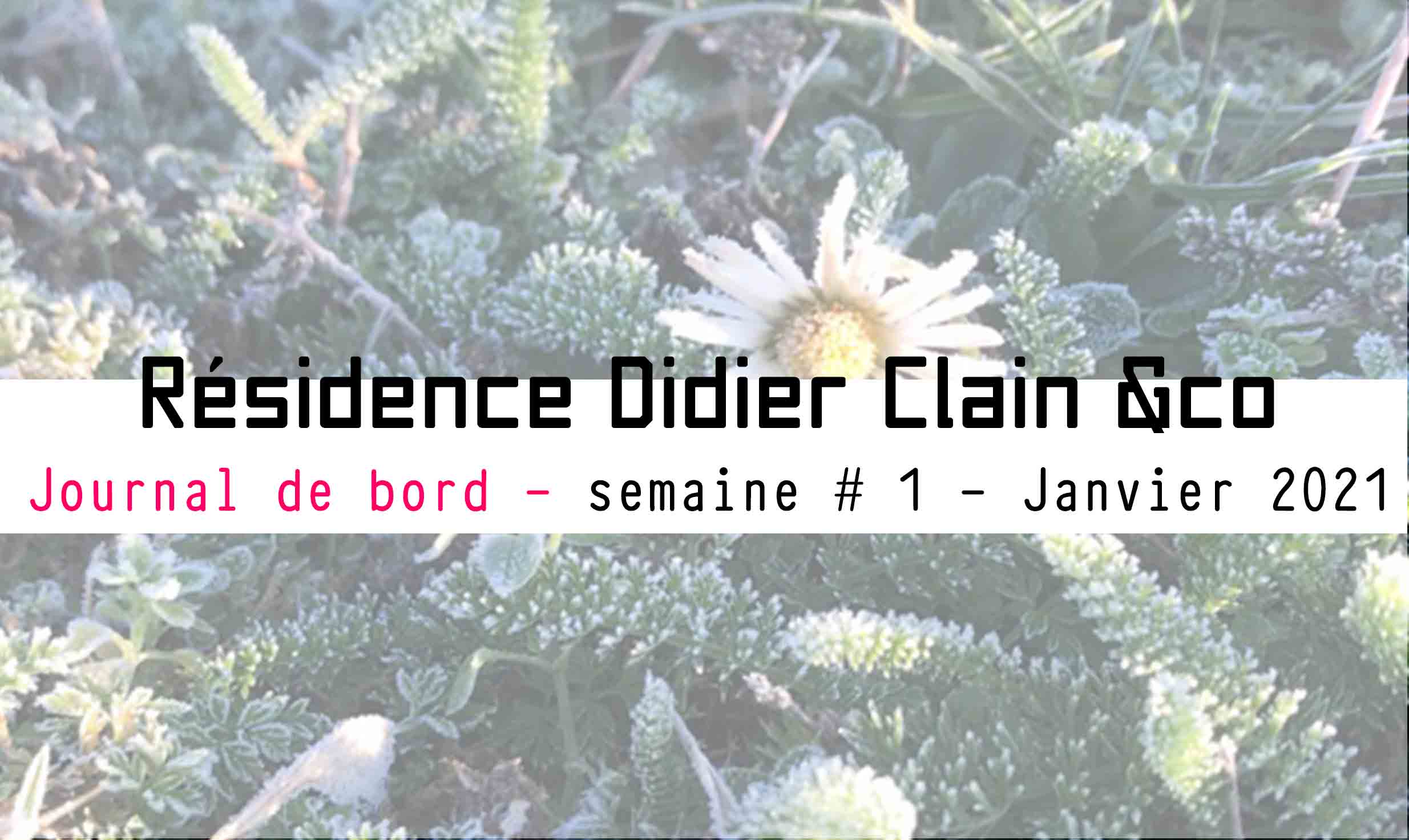 Lire la suite à propos de l’article Récit d&rsquo;une première session de la résidence d&rsquo;immersion Didier Clain & co-Janvier 2021